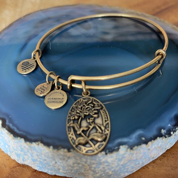 Alex and Ani Sister Charm Bangle Bracelet Gold Adjustable - Picture 1 of 5